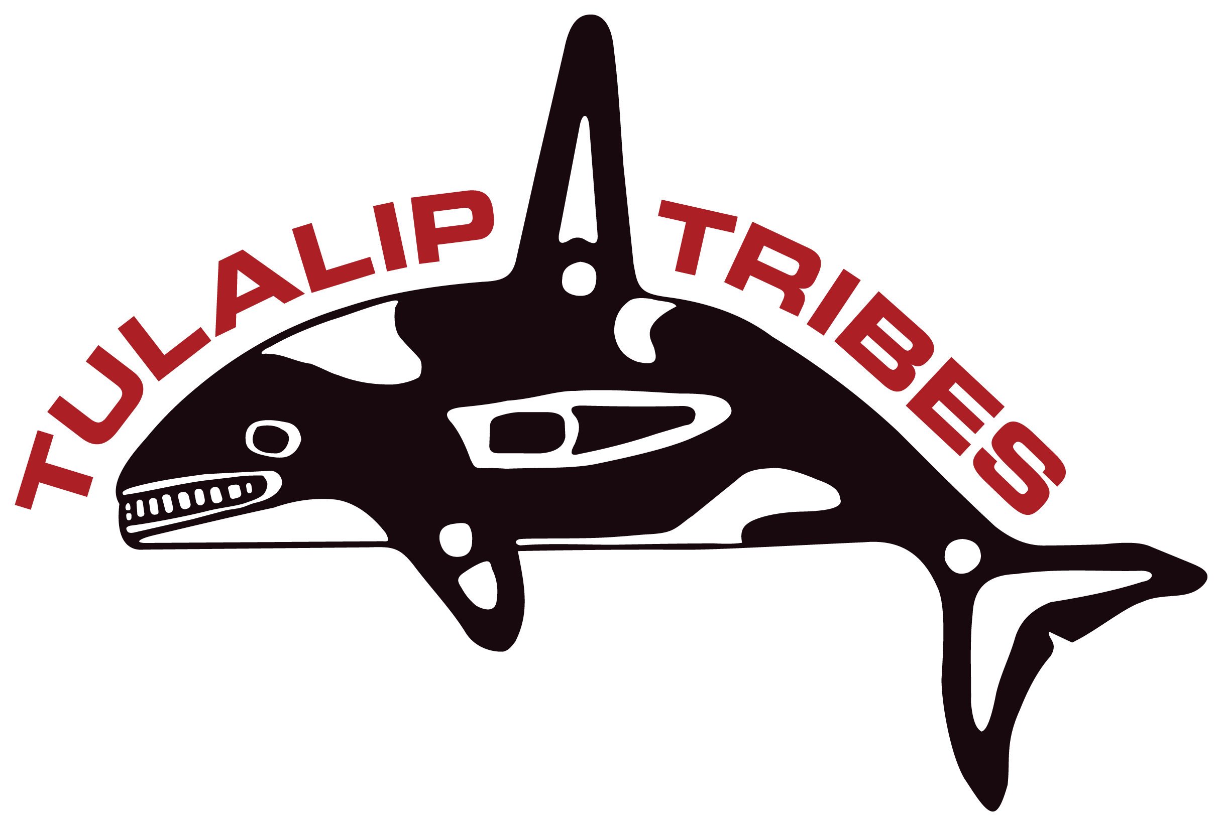 Whale Logo